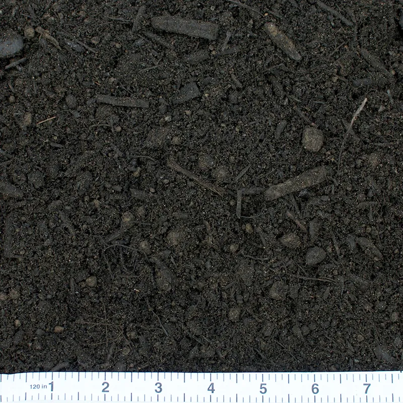 3-way soil mix with a ruler for scale