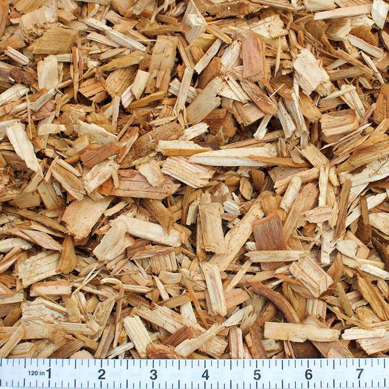 cedar chips with a ruler for scale